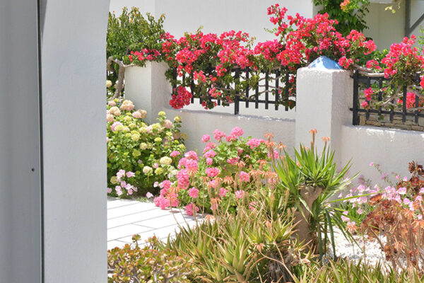 deluxe-apartment-Naxos island (19)